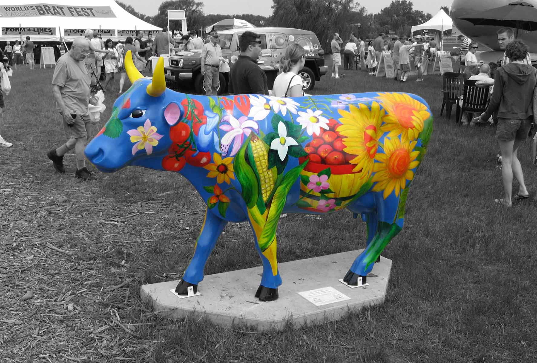 Photography by garettkipp for DesignCrowd (Community Contests) | Design #9051505