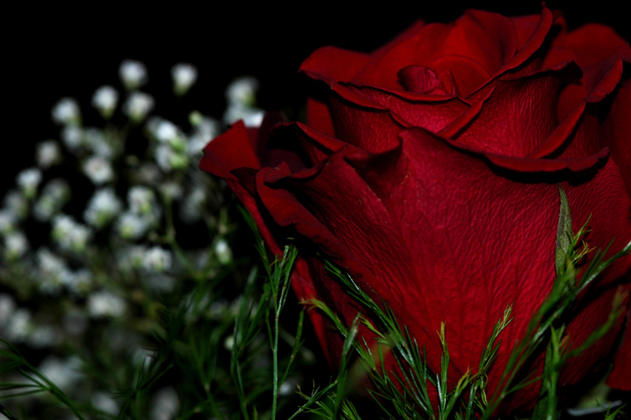 Photography by Destil for DesignCrowd (Community Contests) | Design #9044866