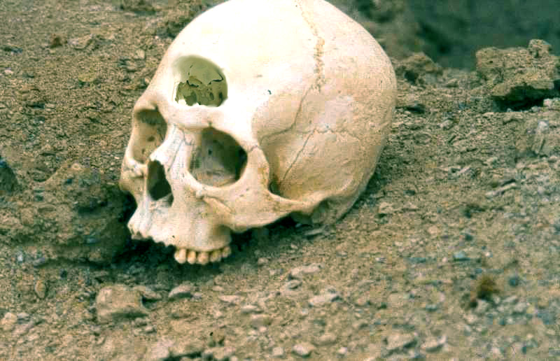 Photoshop-Design von BereniceLooM für DesignCrowd (Community Contests) | Design #9053287