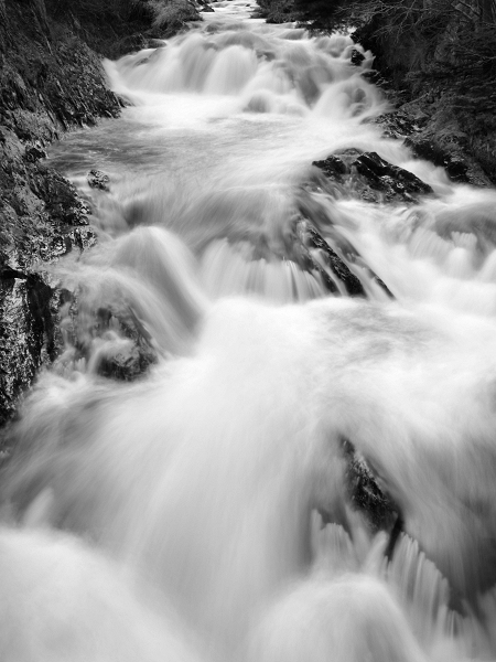 Fotografie von KarenC für DesignCrowd (Community Contests) | Design #9044581