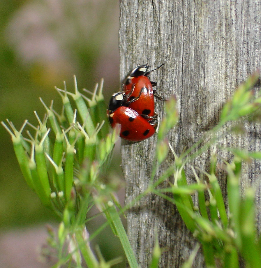 Photography by wannajo for DesignCrowd (Community Contests) | Design #9044903