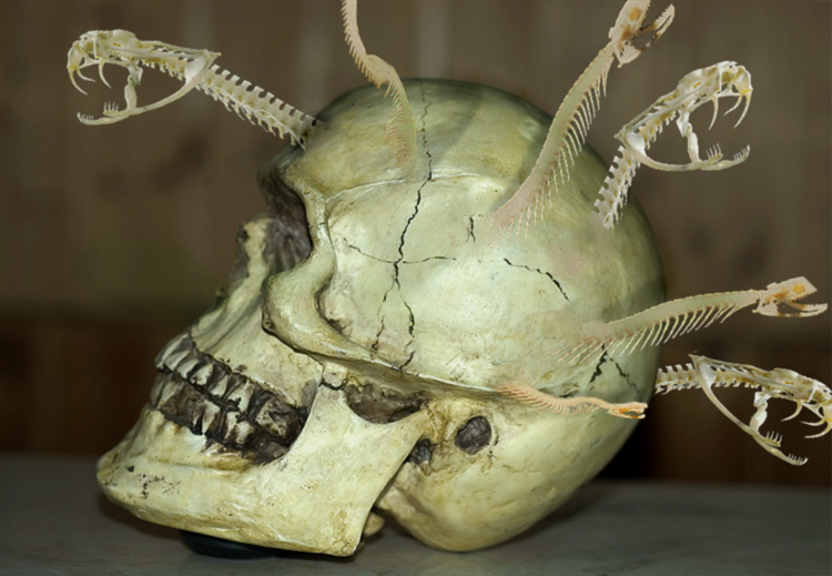 Photoshop Design by ParasiteDemon for DesignCrowd (Community Contests) | Design #9053326