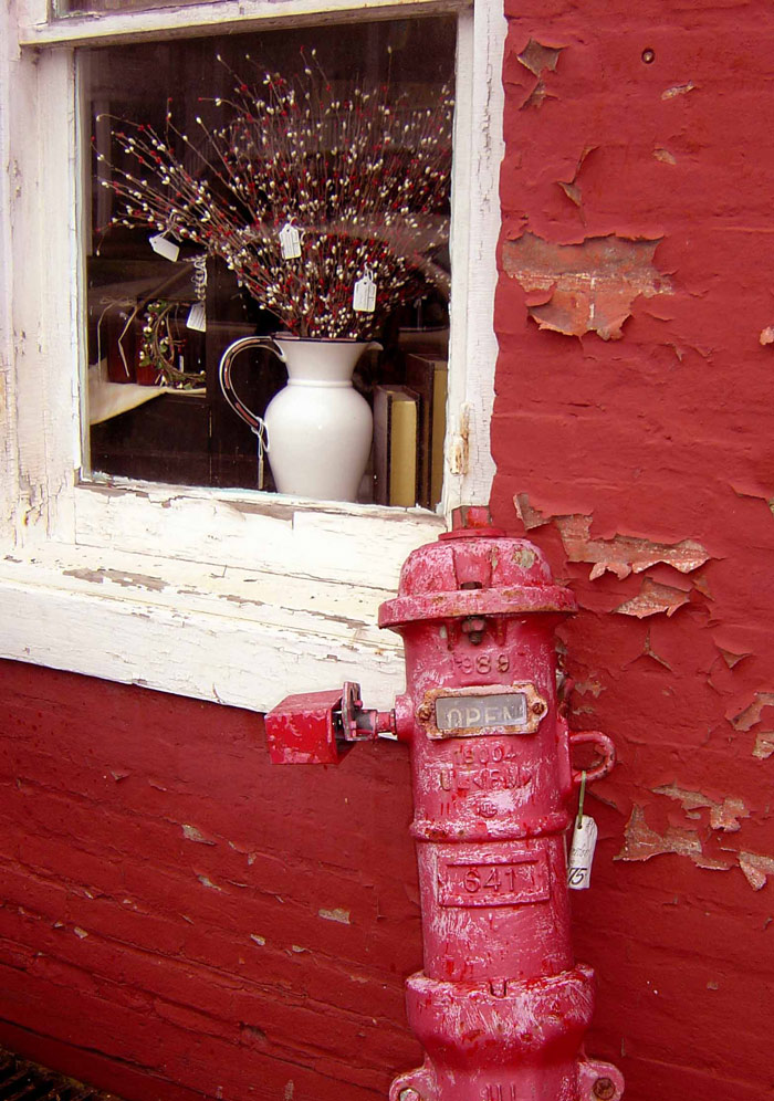 Photography by tigercrosse for DesignCrowd (Community Contests) | Design #9044952