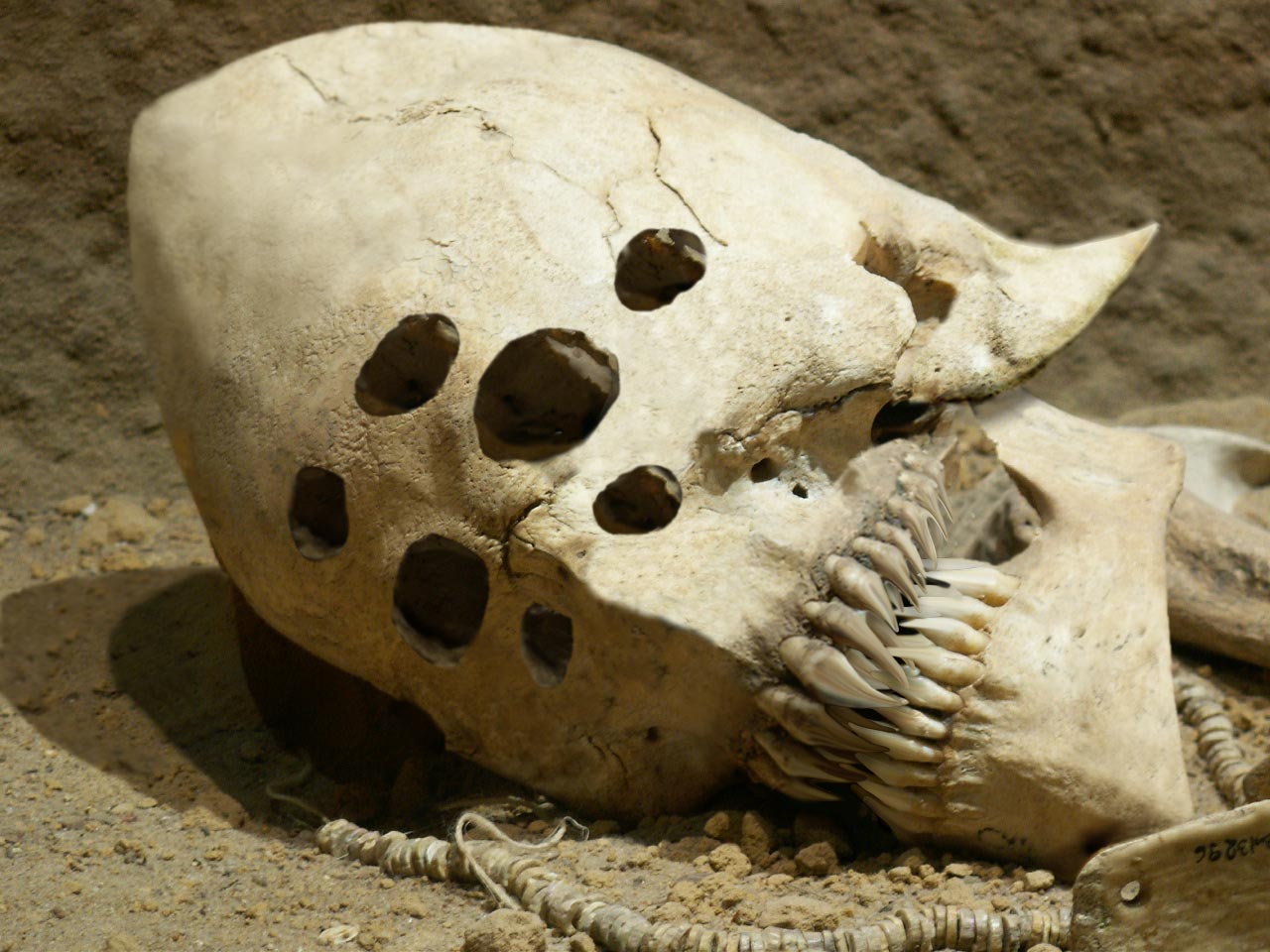 Diseño de Photoshop por spiraleye para DesignCrowd (Community Contests) | Diseño #9053353