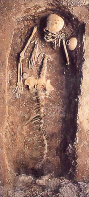 Design Photoshop par ellall pour DesignCrowd (Community Contests) | Design #9053410