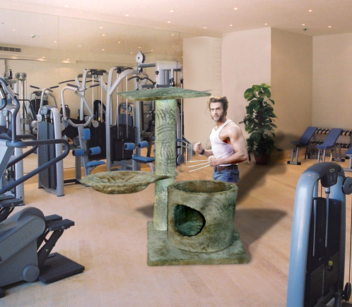 Diseño de Photoshop por zigurana para DesignCrowd (Community Contests) | Diseño #9048829