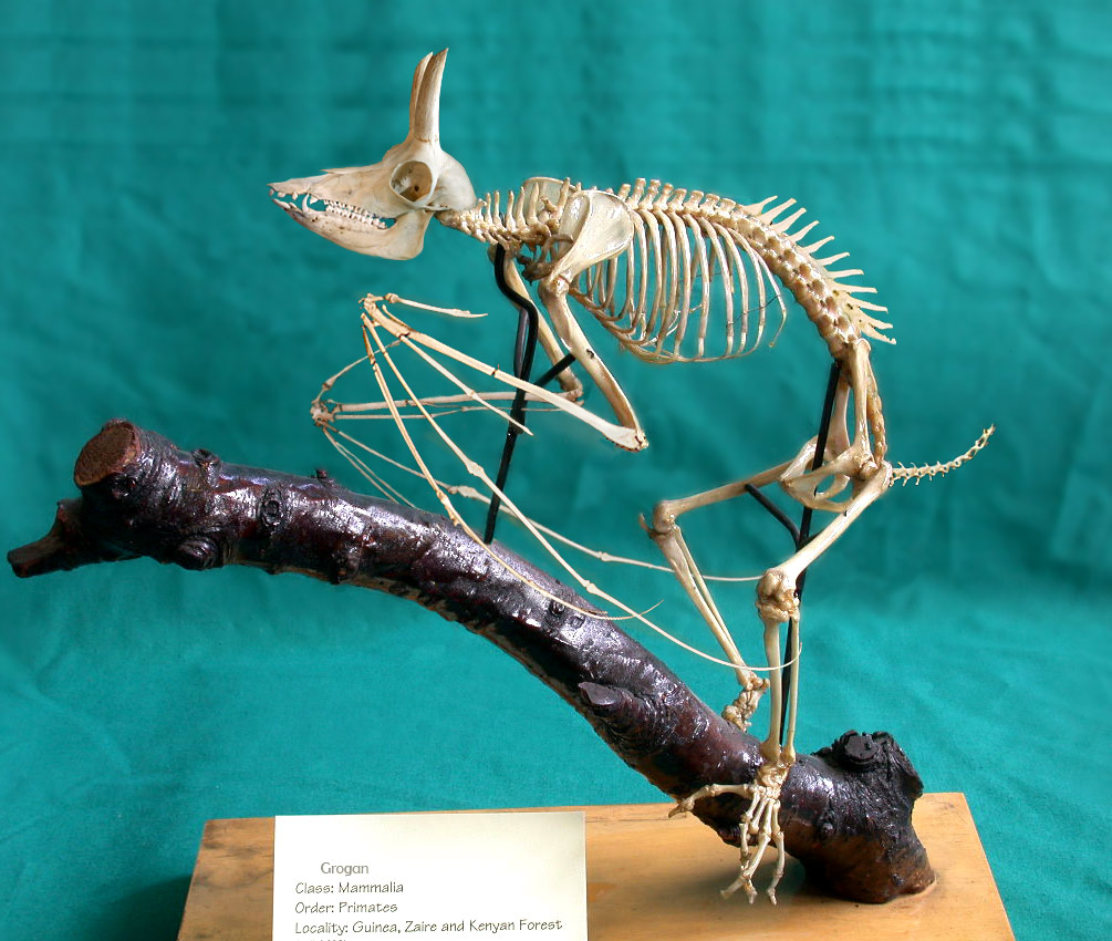 Photoshop Design by ozplasmic for DesignCrowd (Community Contests) | Design #9053361