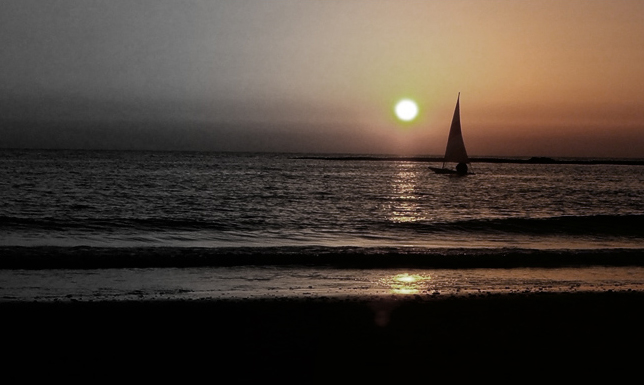 Photography by GreyElf for DesignCrowd (Community Contests) | Design #9051624