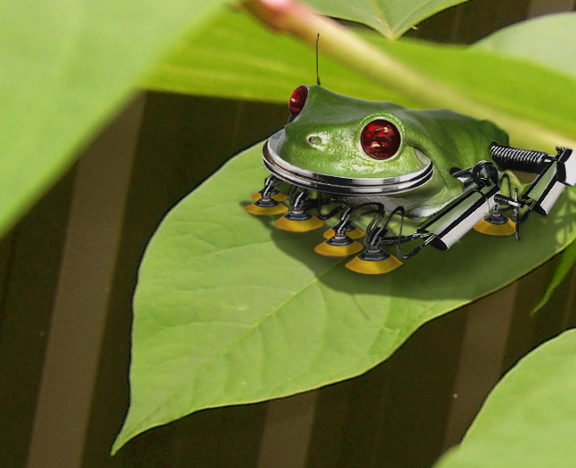 Photoshop Design by jipijapa for DesignCrowd (Community Contests) | Design #9043962