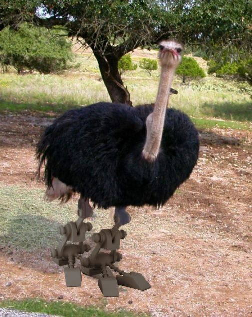 Diseño de Photoshop por Ummaya para DesignCrowd (Community Contests) | Diseño #9043968