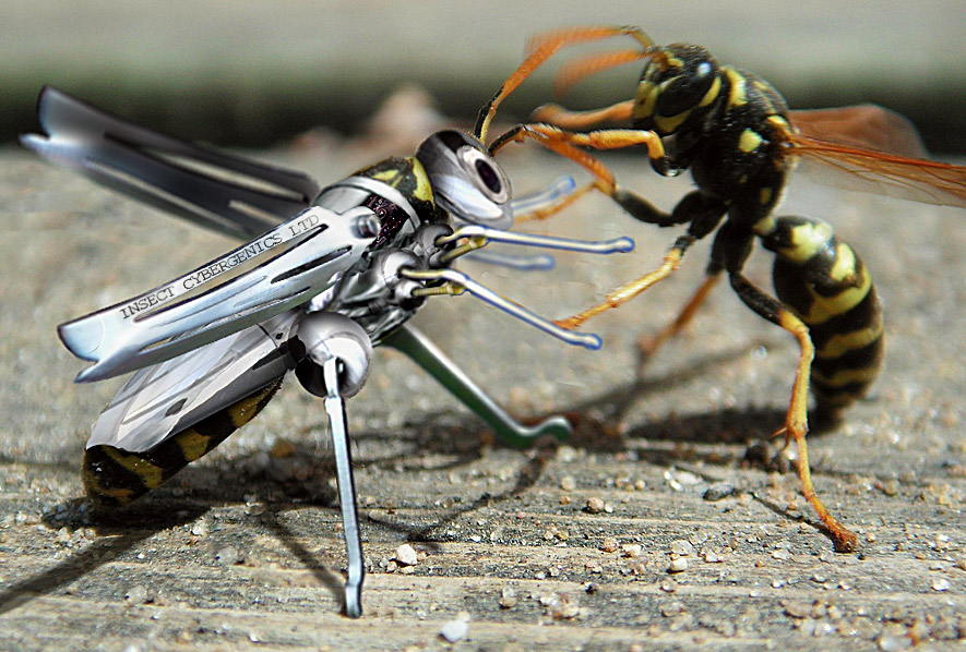 Photoshop Design by mjhaylor for DesignCrowd (Community Contests) | Design #9043992