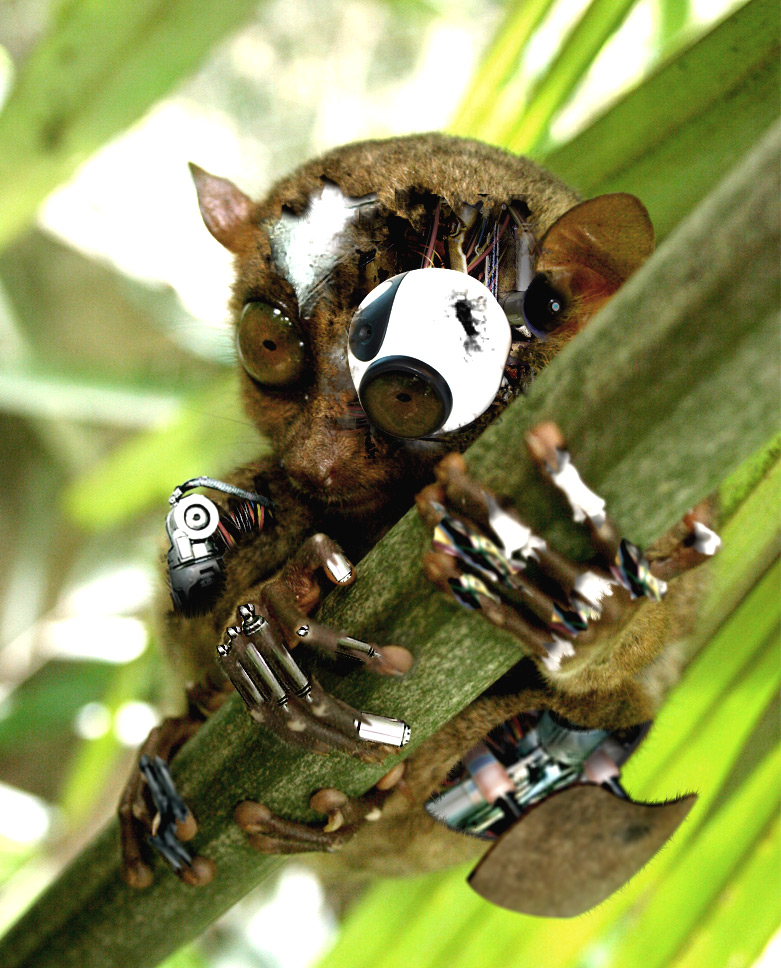 Photoshop-Design von ayoksus für DesignCrowd (Community Contests) | Design #9043980