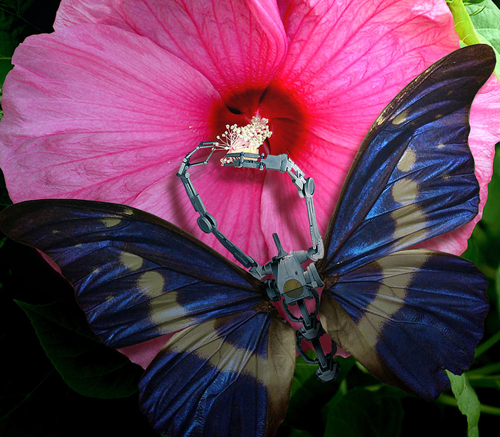 Photoshop Design by DutchPuh for DesignCrowd (Community Contests) | Design #9044020