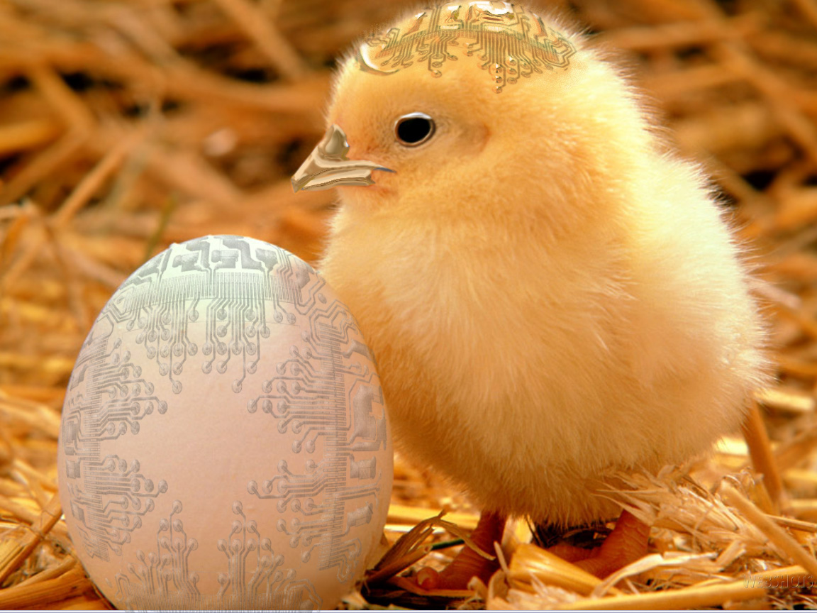 Diseño de Photoshop por witchiepoo para DesignCrowd (Community Contests) | Diseño #9044016