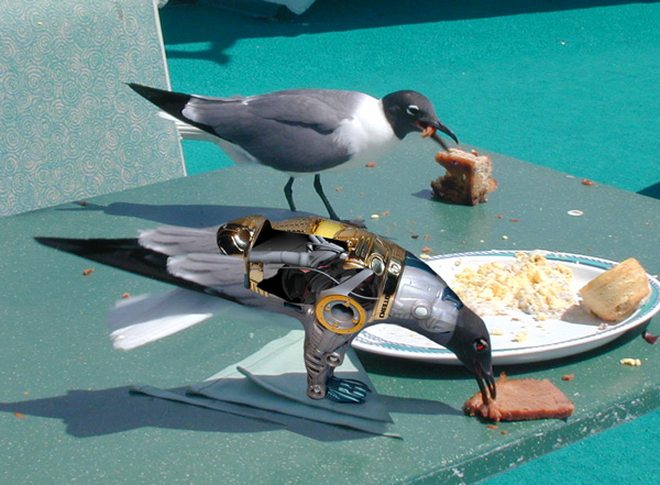 Photoshop-Design von Mupshur für DesignCrowd (Community Contests) | Design #9044003