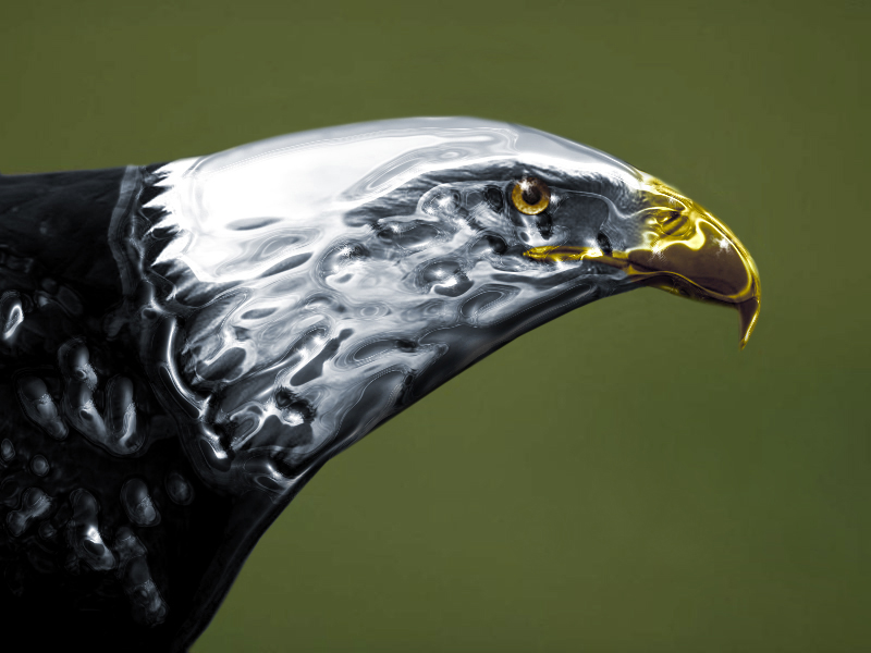 Design Photoshop par mlolsen pour DesignCrowd (Community Contests) | Design #9044039