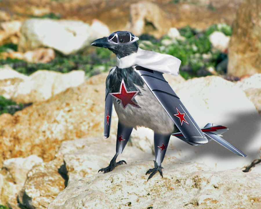 Photoshop Design by benchong for DesignCrowd (Community Contests) | Design #9044030