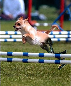 Design Photoshop par endingswithaz pour DesignCrowd (Community Contests) | Design #9044005