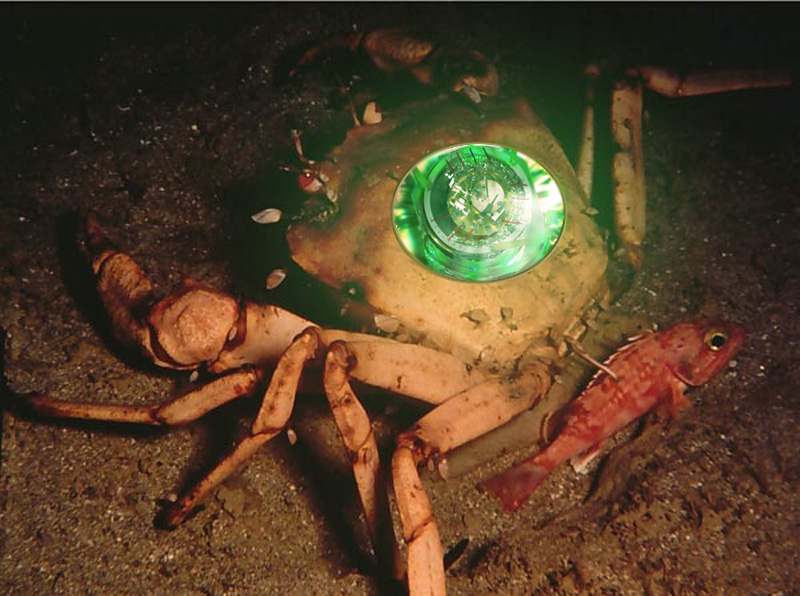 Photoshop Design by vimark for DesignCrowd (Community Contests) | Design #9044014