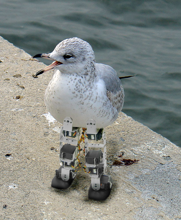 Photoshop Design by jarlen for DesignCrowd (Community Contests) | Design #9044074