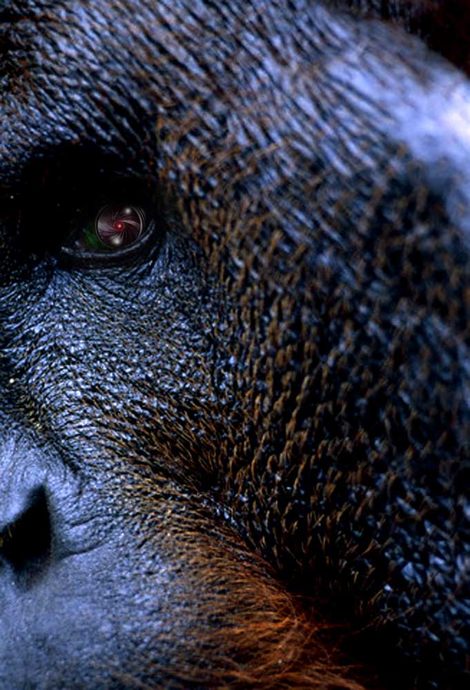 Photoshop Design by tiocoy for DesignCrowd (Community Contests) | Design #9044150