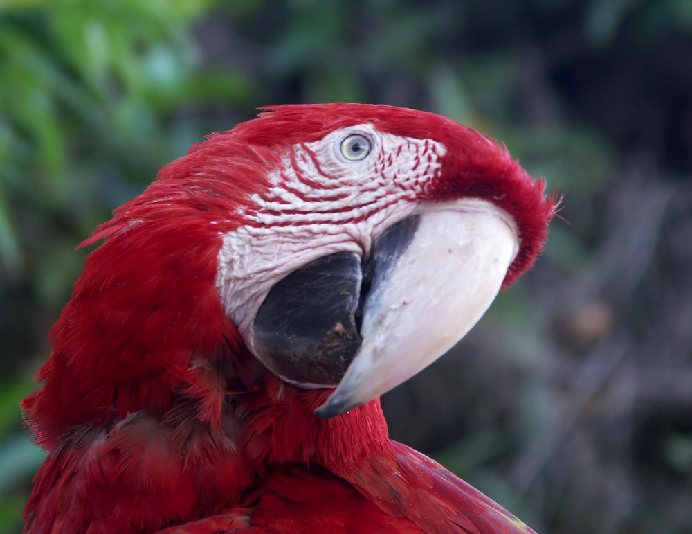 Photography by Rouwkema for DesignCrowd (Community Contests) | Design #9045087