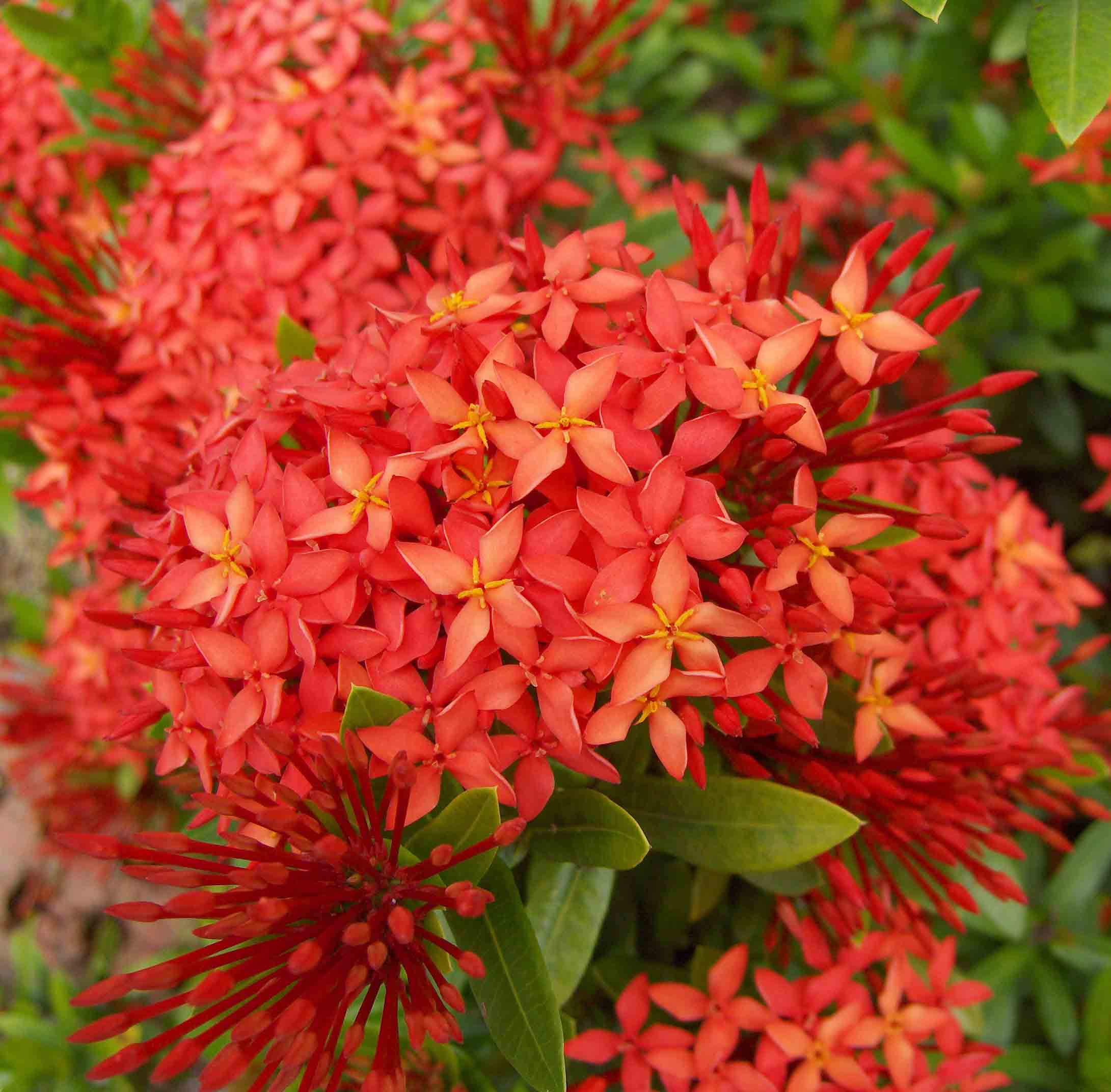 Fotografía por bliemsgirl para DesignCrowd (Community Contests) | Diseño #9045100