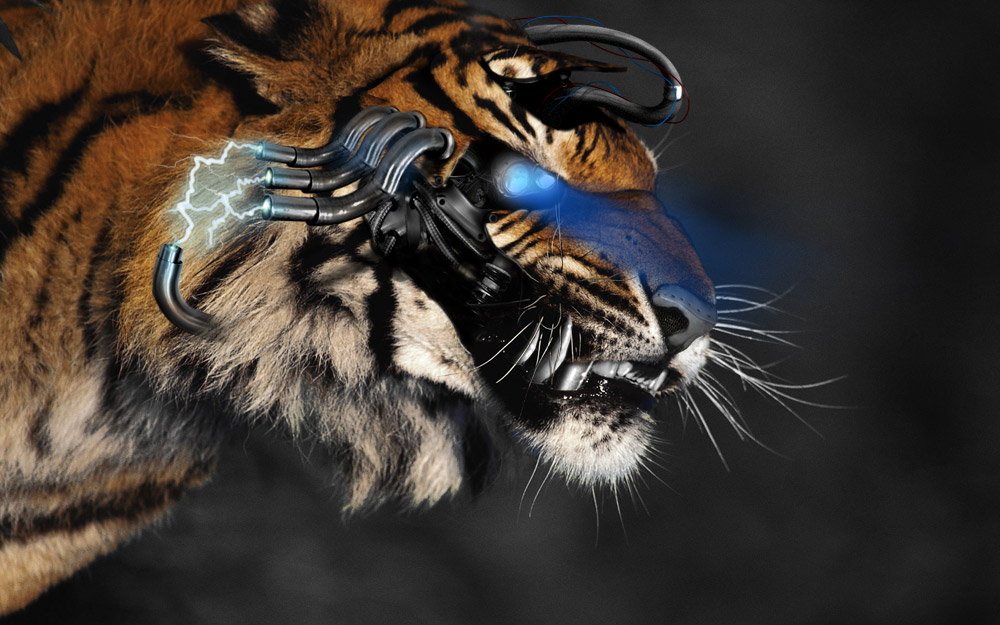 Photoshop Design by CharlesFBI for DesignCrowd (Community Contests) | Design #9044126