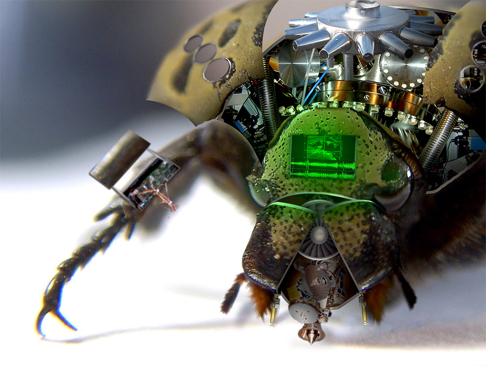 Photoshop-Design von Deschain420 für DesignCrowd (Community Contests) | Design #9044077