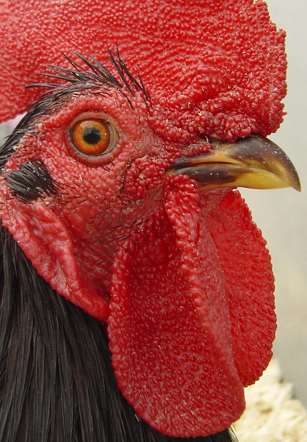 Photography by Indopser for DesignCrowd (Community Contests) | Design #9045065