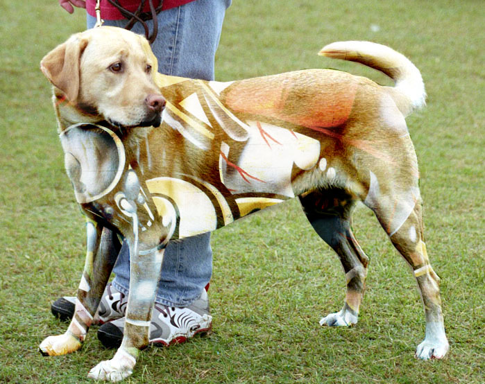 Photoshop-Design von JoeyGio für DesignCrowd (Community Contests) | Design #9037671