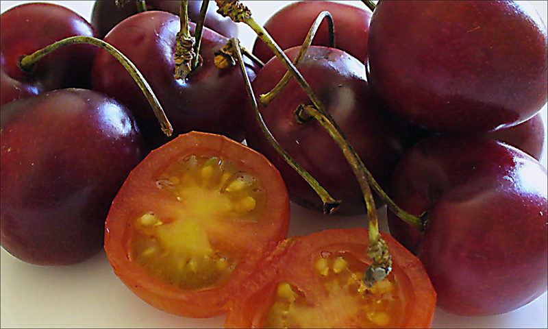 Fotografie von IsleofJura für DesignCrowd (Community Contests) | Design #9045113