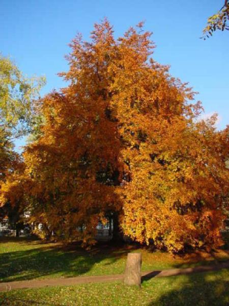 Photographie par meisam pour DesignCrowd (Community Contests) | Design #9044695