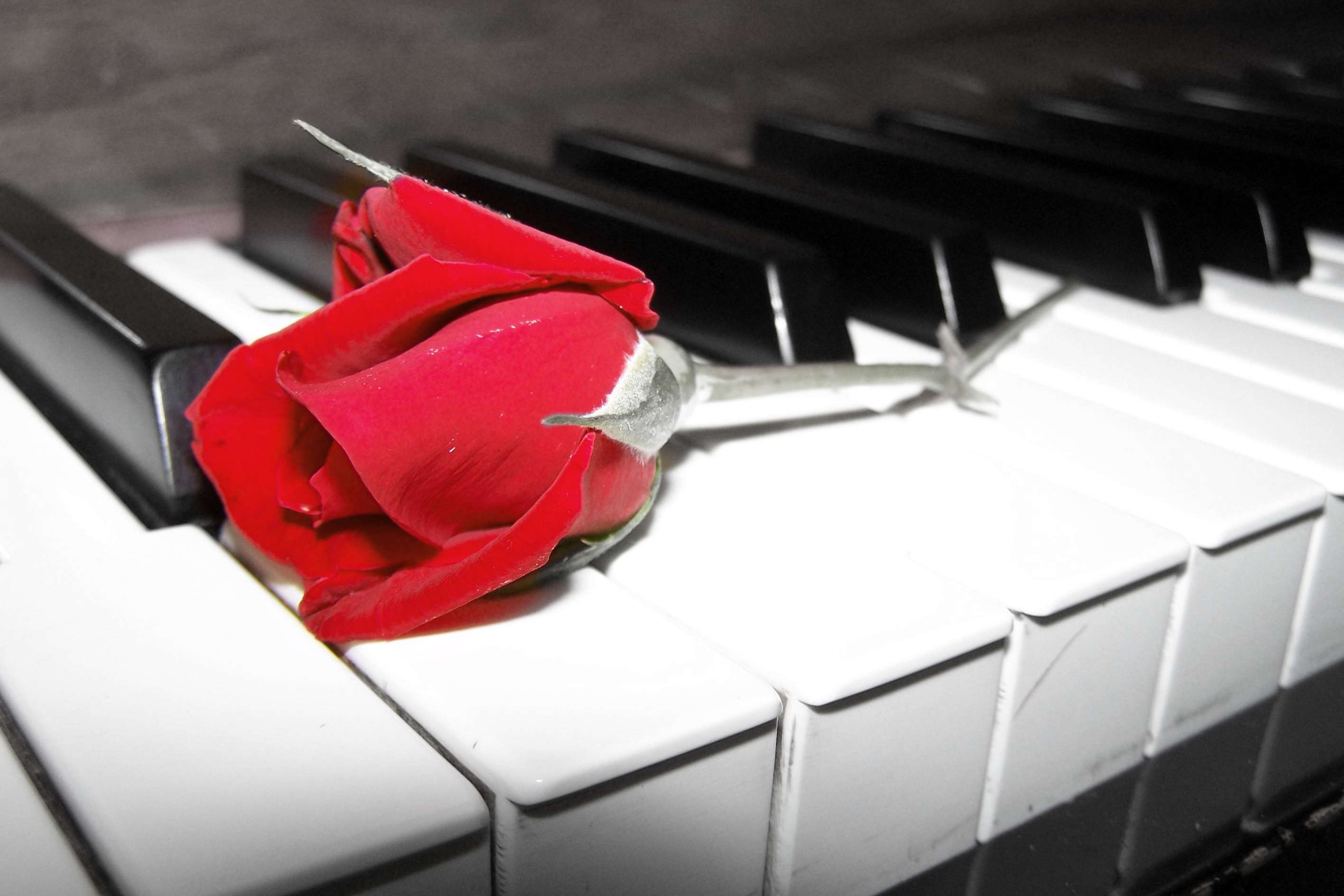 Photography by Mathavious for DesignCrowd (Community Contests) | Design #9051829