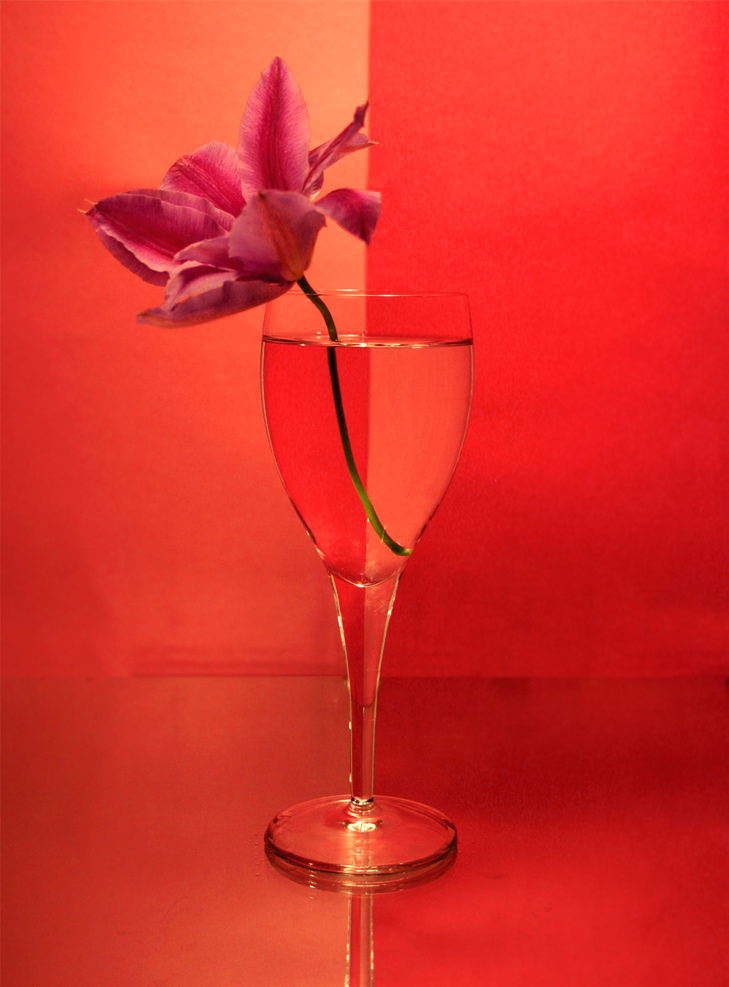 Photography by DoubleDizzle for DesignCrowd (Community Contests) | Design #9045077