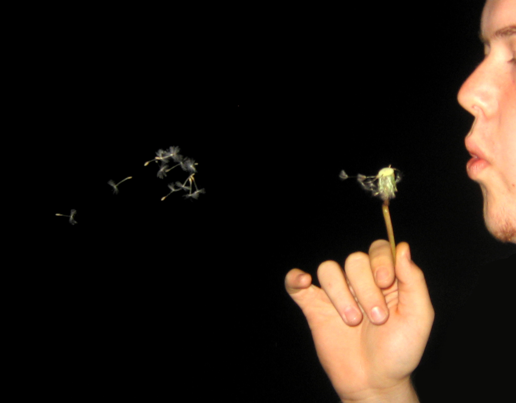 Photography by DoubleDizzle for DesignCrowd (Community Contests) | Design #9044697