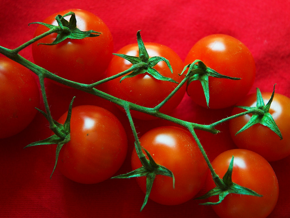 Photography by unit25 for DesignCrowd (Community Contests) | Design #9045096