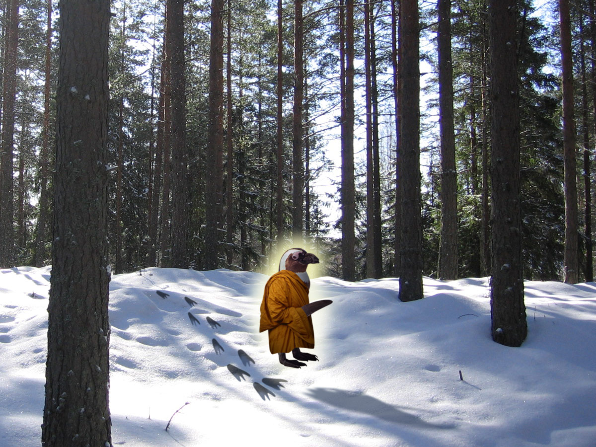 Photoshop Design by dadrak for DesignCrowd (Community Contests) | Design #9043828