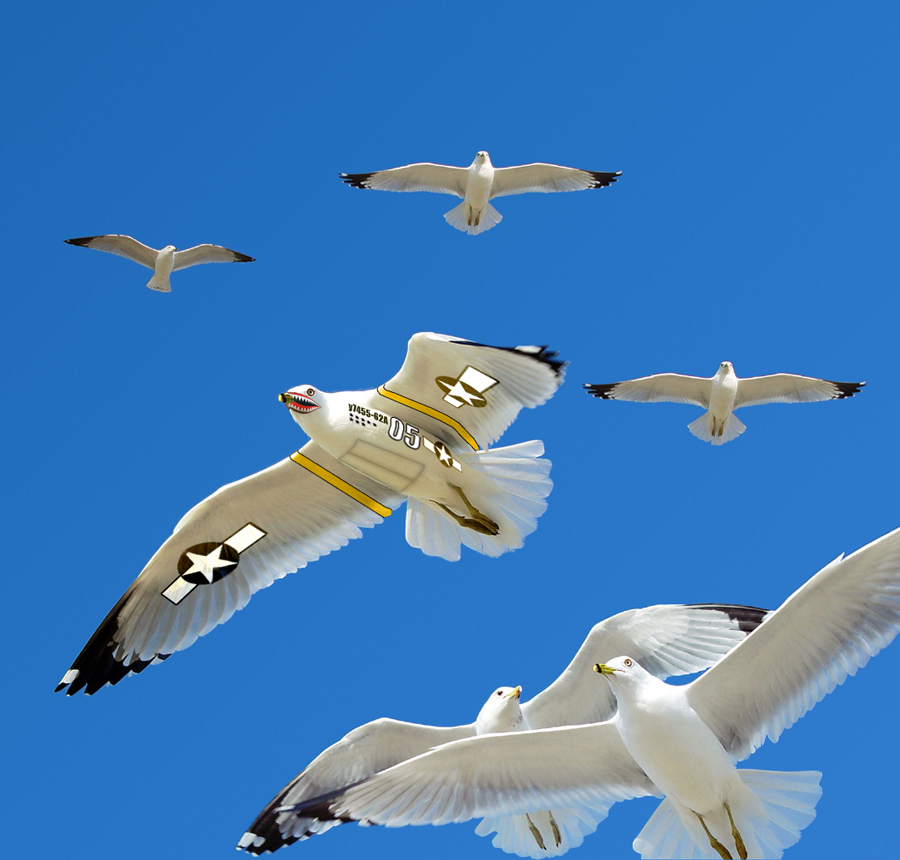 Diseño de Photoshop por Bootlegger para DesignCrowd (Community Contests) | Diseño #9045508