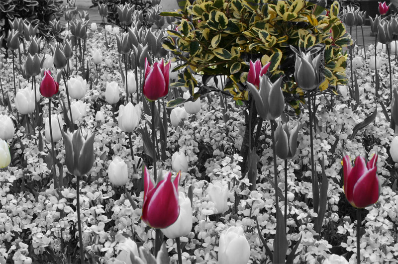 Photography by lardus for DesignCrowd (Community Contests) | Design #9051836