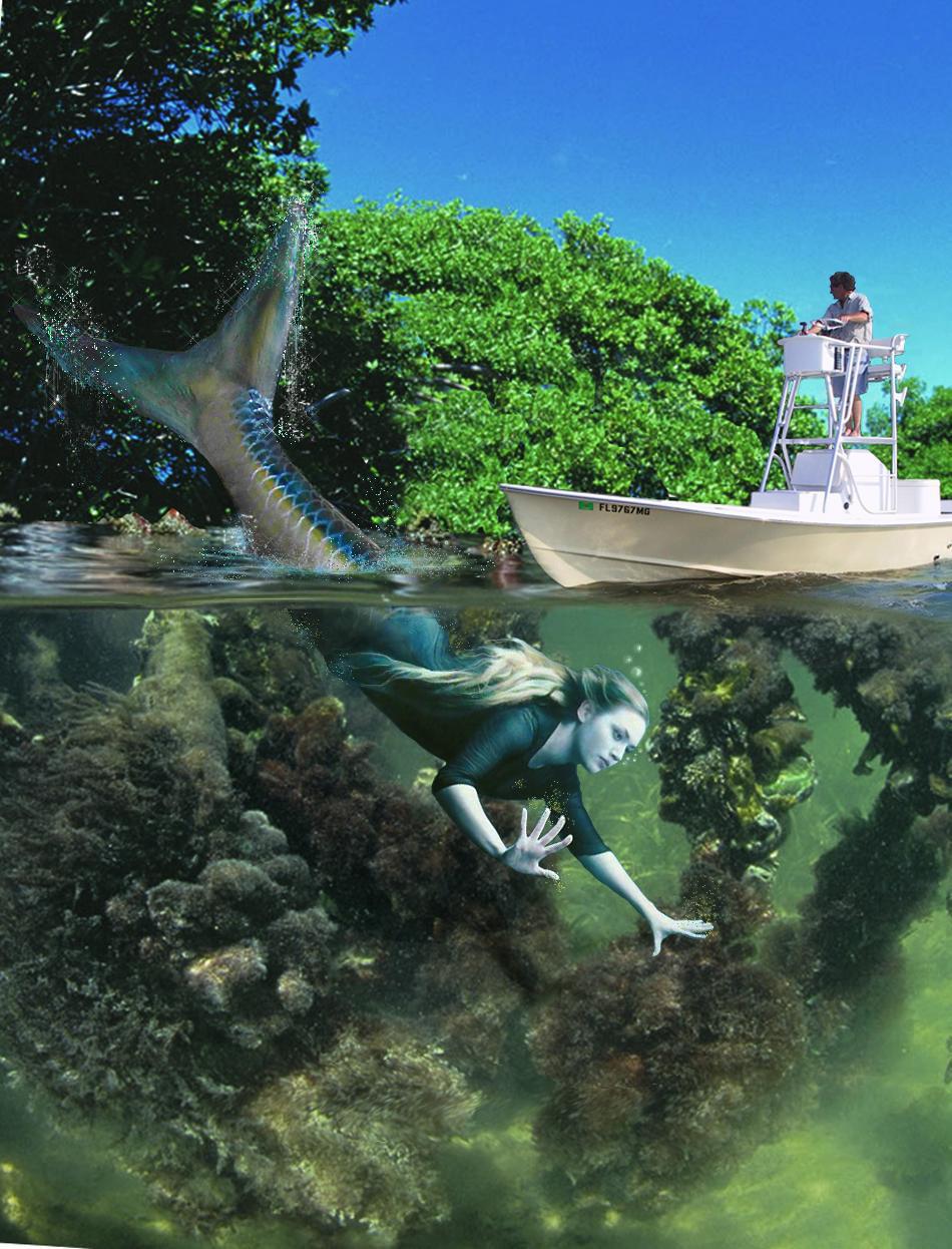 Photoshop Design by sugarcane for DesignCrowd (Community Contests) | Design #9043869