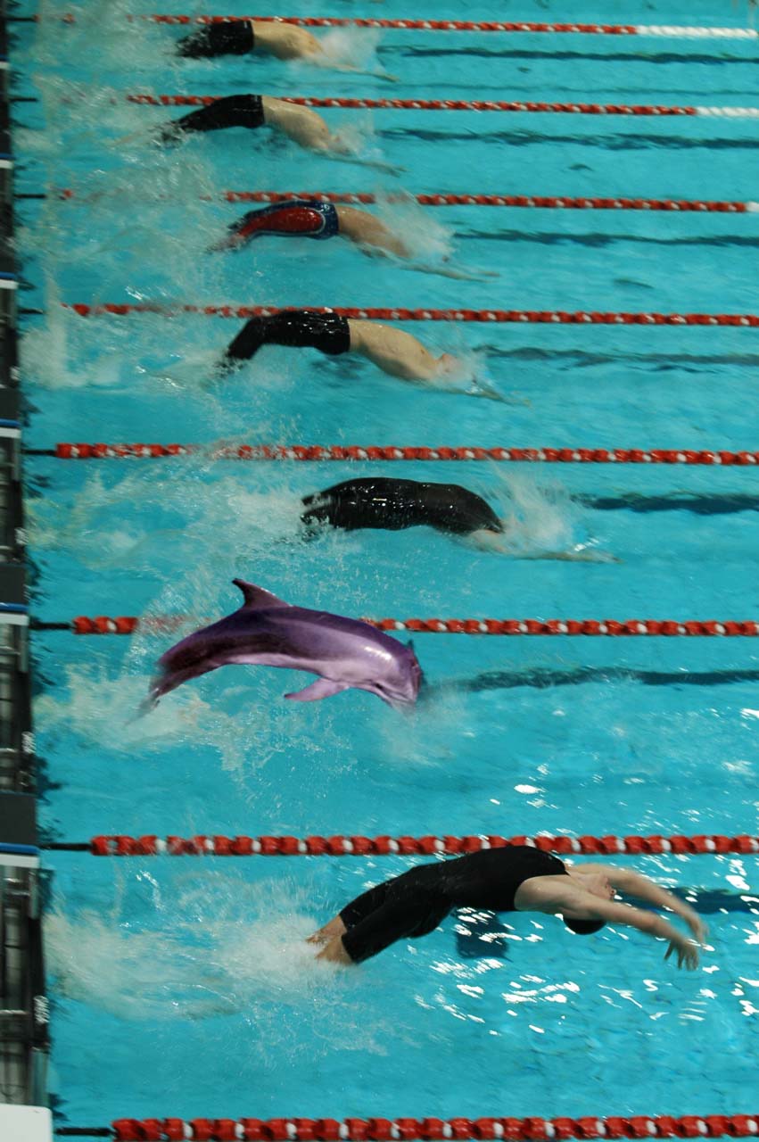 Photoshop Design by ahivalaostia for DesignCrowd (Community Contests) | Design #9045579