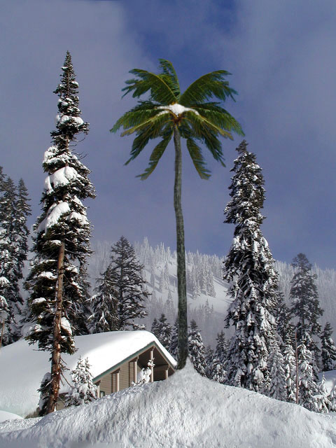 Photoshop Design by DebCam for DesignCrowd (Community Contests) | Design #9045587