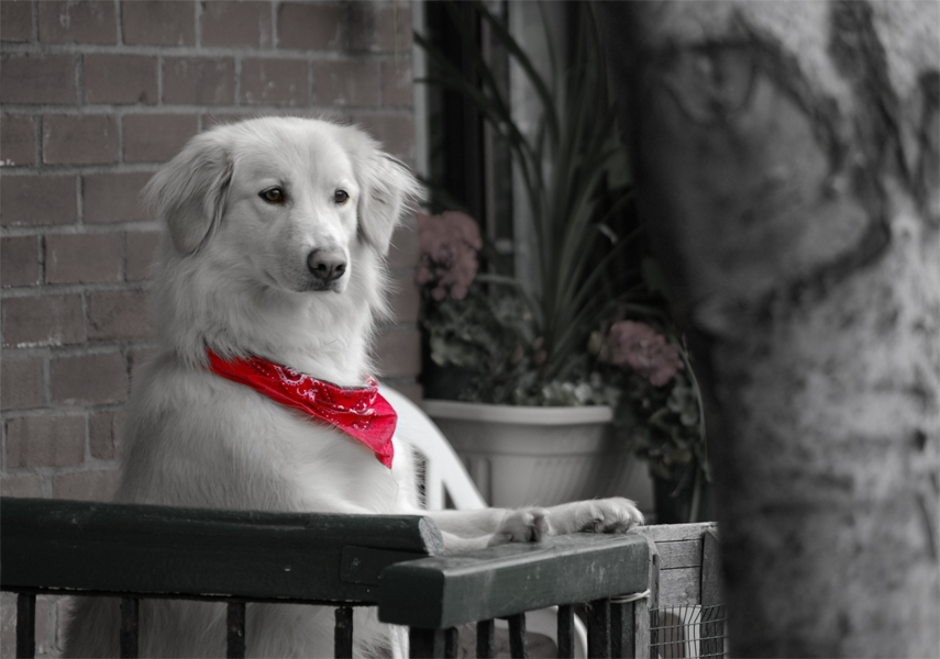 Photographie par Reality23 pour DesignCrowd (Community Contests) | Design #9051898