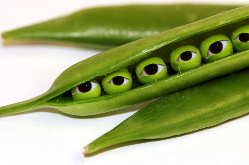 Photoshop Design by mattbyng for DesignCrowd (Community Contests) | Design #9050780