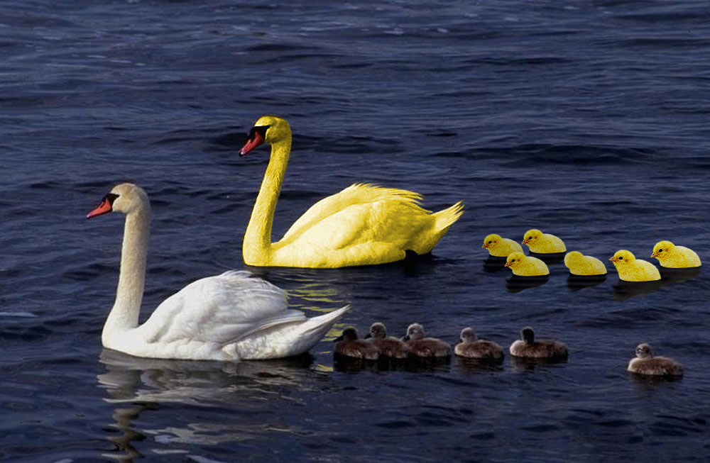 Photoshop Design by creativerajkumar for DesignCrowd (Community Contests) | Design #9045601