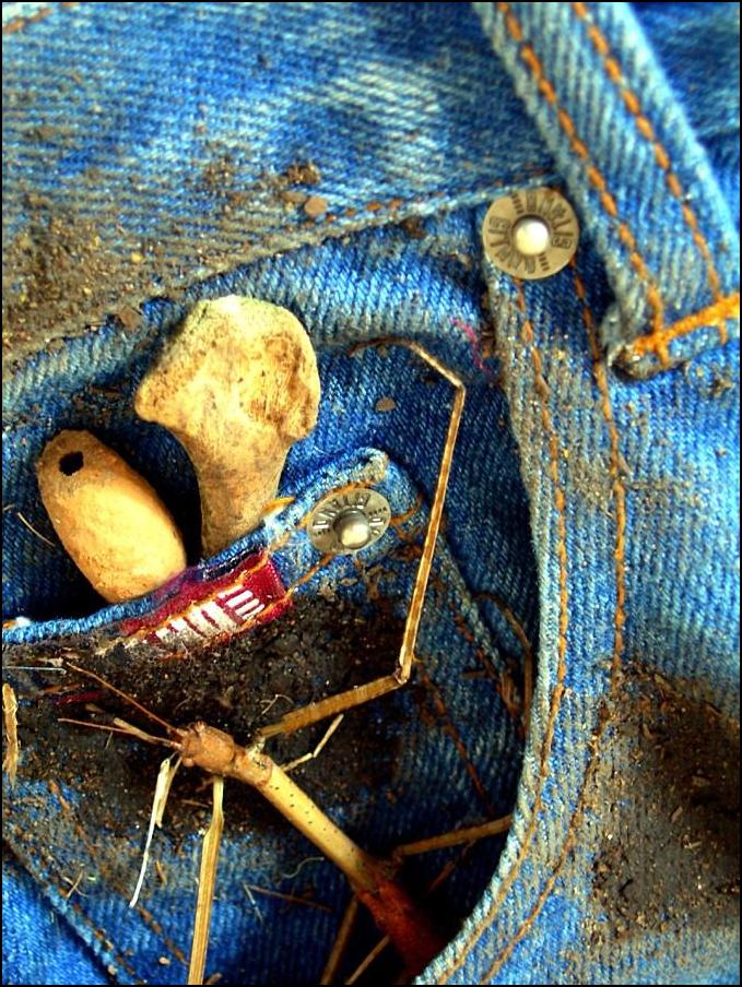 Photography by Isabella2006 for DesignCrowd (Community Contests) | Design #9038068