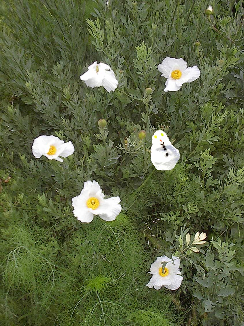 Photoshop-Design von donzee für DesignCrowd (Community Contests) | Design #9045536