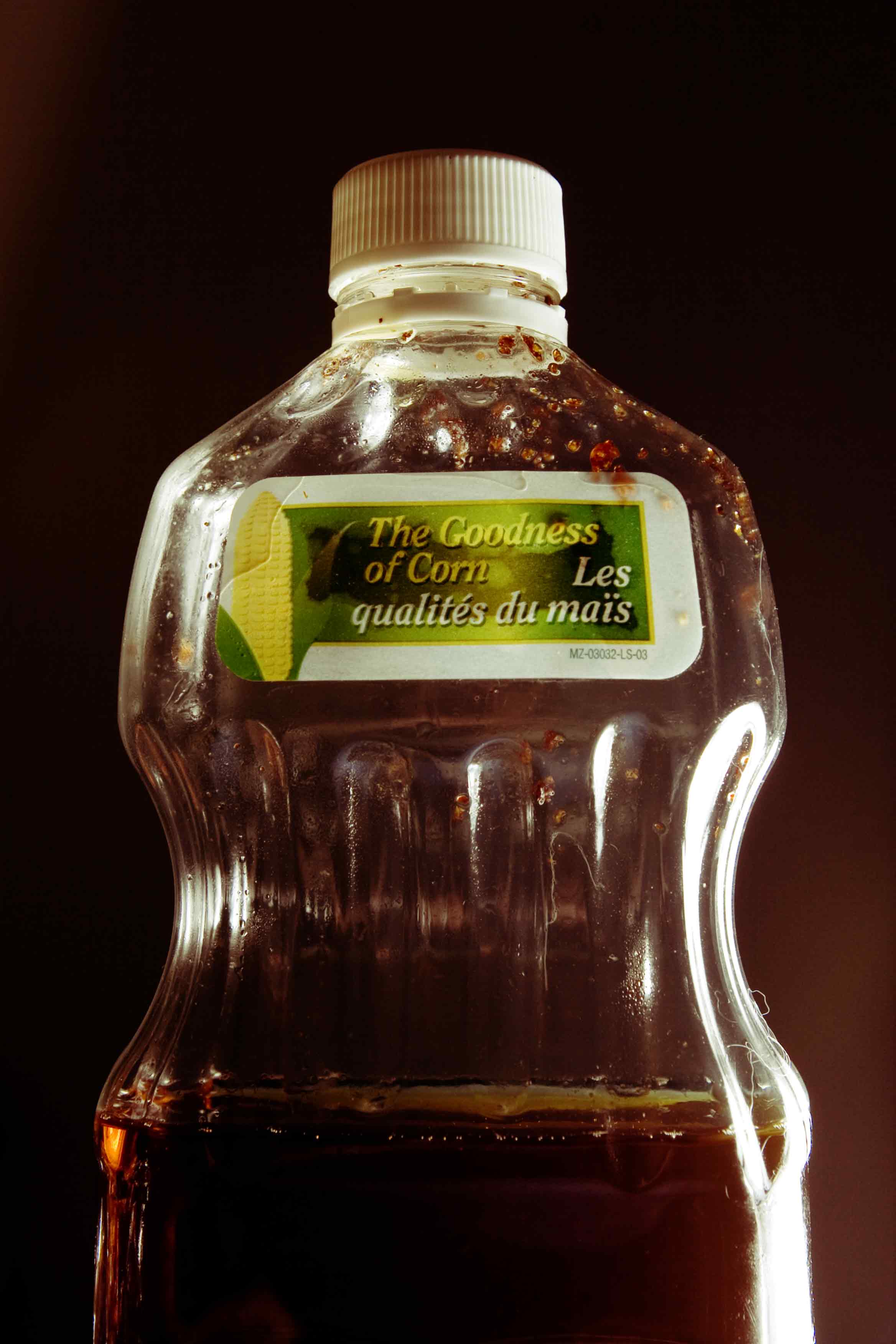 Photographie par lodoiska pour DesignCrowd (Community Contests) | Design #9044781