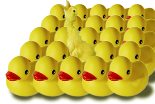 Photoshop-Design von phil71 für DesignCrowd (Community Contests) | Design #9045687